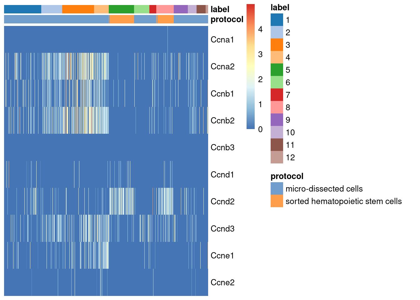 Heatmap of the log-normalized expression values of the cyclin genes in the Grun HSC dataset. Each column represents a cell that is sorted by the cluster of origin and extraction protocol.