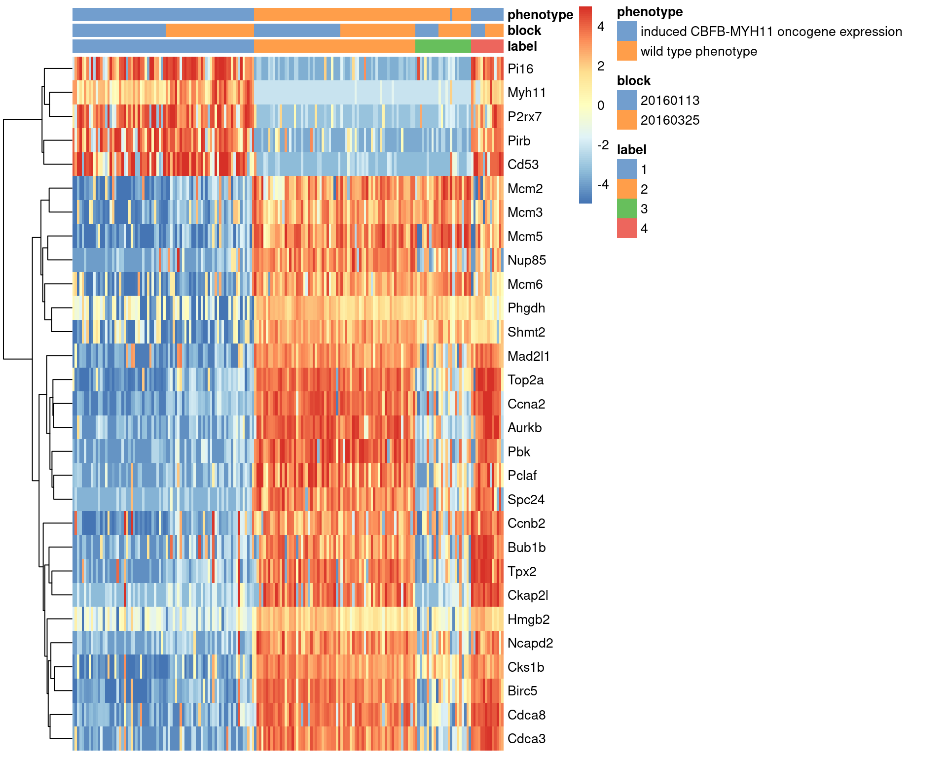Heatmap of the top marker genes for cluster 1 in the 416B dataset, stratified by cluster. The plate of origin and oncogene induction status are also shown for each cell.