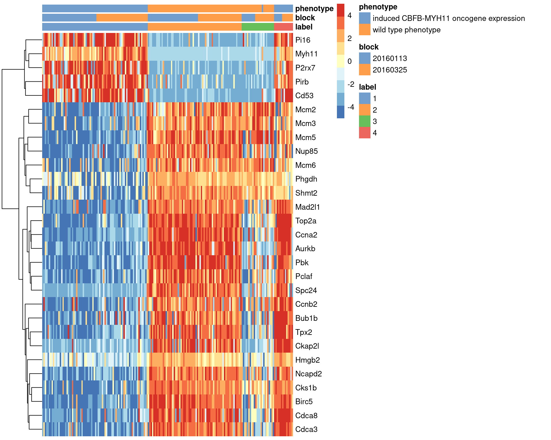 Heatmap of the top marker genes for cluster 1 in the 416B dataset, stratified by cluster. The plate of origin and oncogene induction status are also shown for each cell.