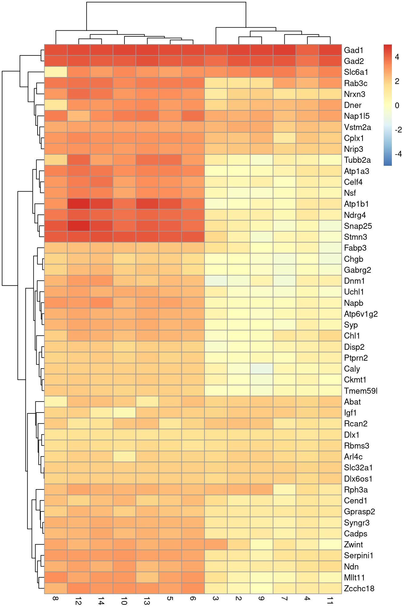 Heatmap of the log-fold changes of the top markers for cluster 1 compared to each other cluster.