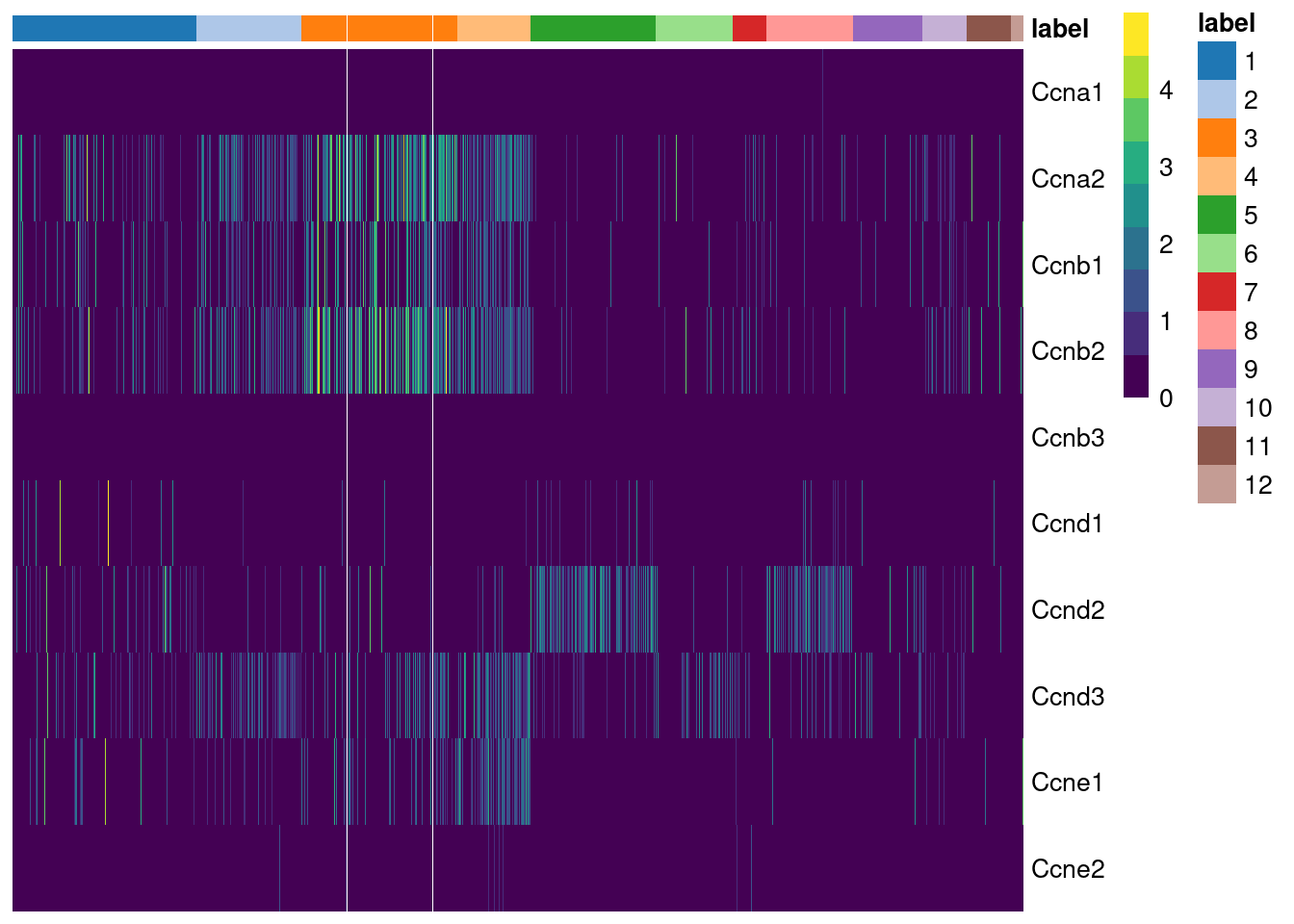 Heatmap of the log-normalized expression values of the cyclin genes in the Grun HSC dataset. Each column represents a cell that is sorted by the cluster of origin and extraction protocol.