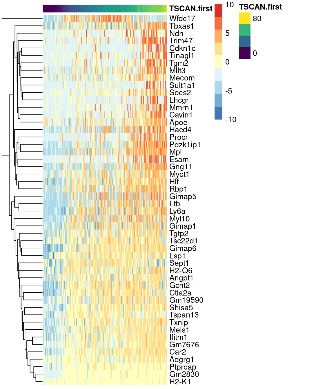 Heatmap of the expression of the top 50 genes that increase in expression with increasing pseudotime along the first path in the MST of the Nestorowa HSC dataset. Each column represents a cell that is mapped to this path and is ordered by its pseudotime value.