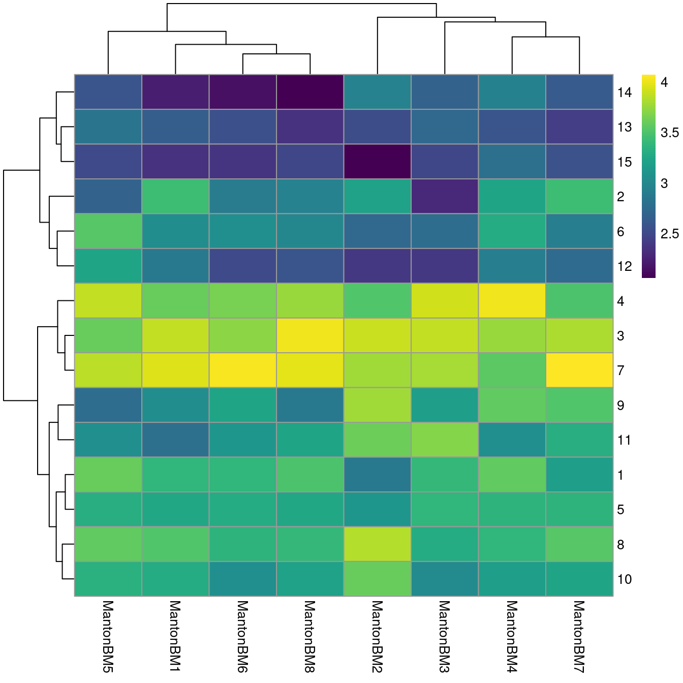 Heatmap of log~10~-number of cells in each cluster (row) from each sample (column).