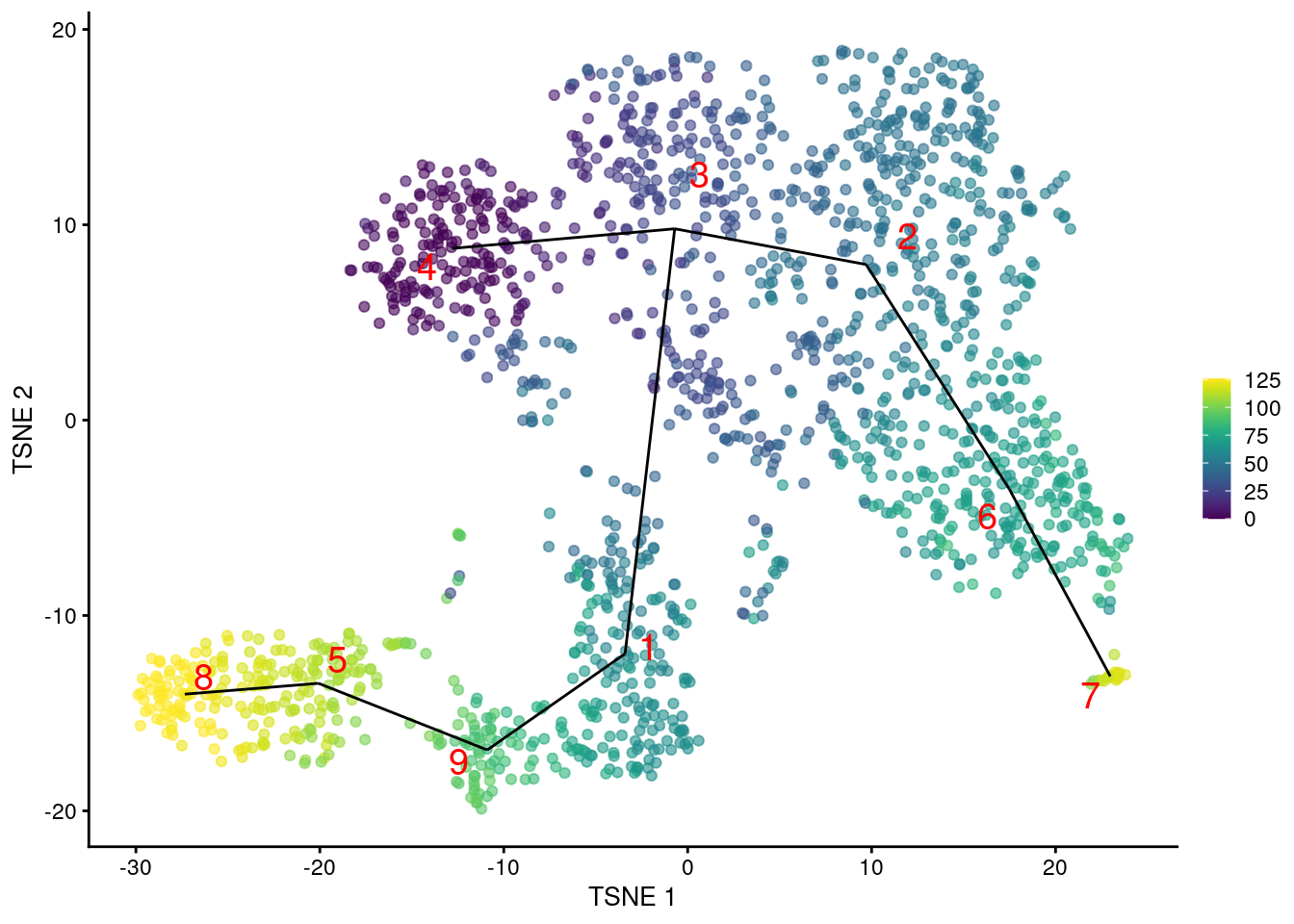 $t$-SNE plot of the Nestorowa HSC dataset, where each point is a cell and is colored according to its pseudotime value. The MST obtained using _TSCAN_ is overlaid on top.