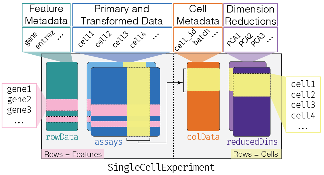 Overview of the structure of the `SingleCellExperiment` class. Each row of the assays corresponds to a row of the `rowData` (pink shading), while each column of the assays corresponds to a column of the `colData` and `reducedDims` (yellow shading).
