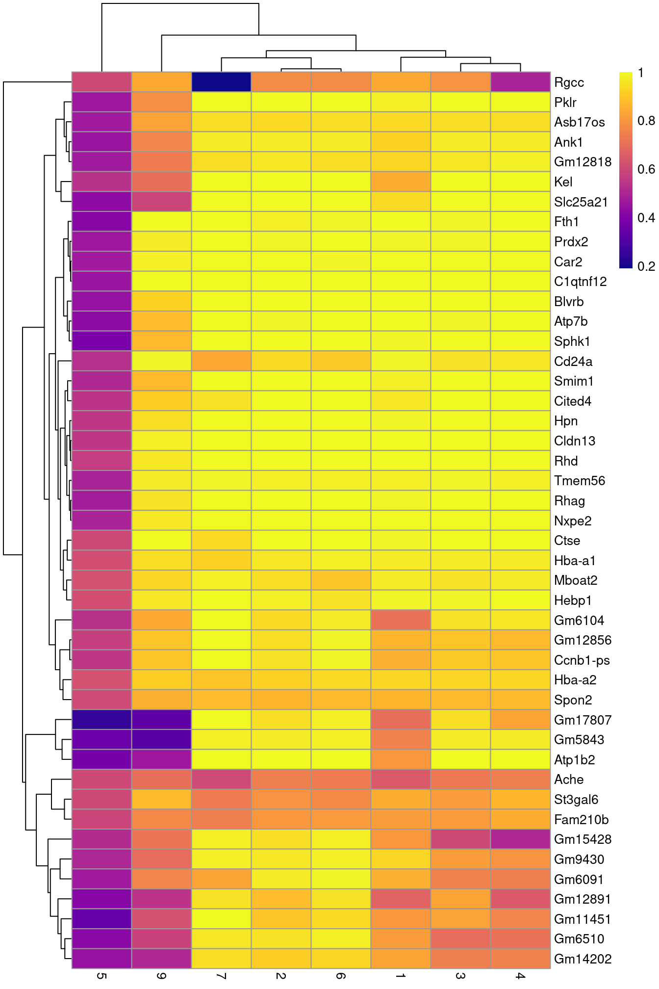 Heatmap of the AUCs for the top marker genes in cluster 8 compared to all other clusters.