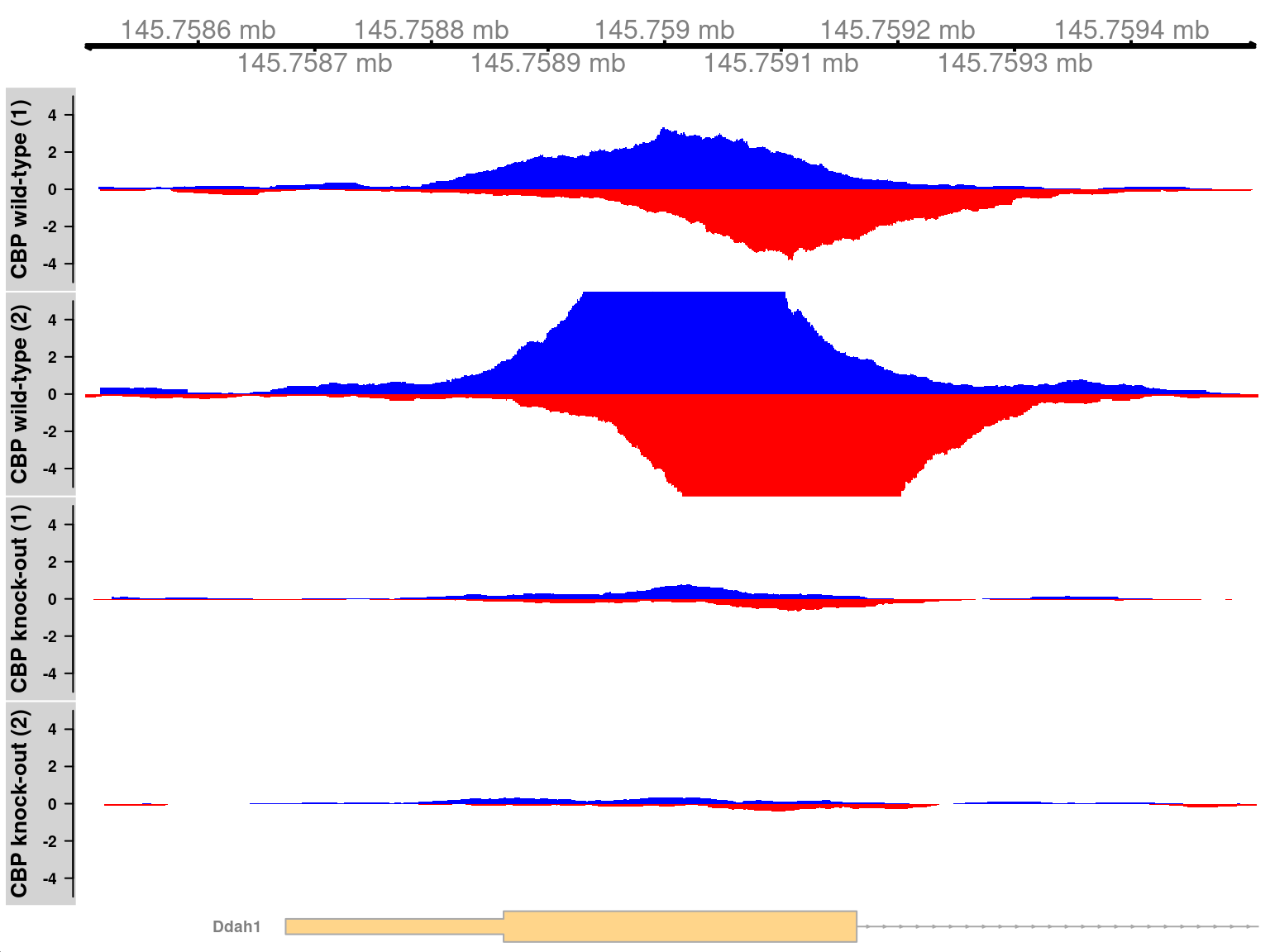 Coverage tracks for TF binding sites that are differentially bound in the WT (top two tracks) against the KO (last two tracks). Blue and red tracks represent forward- and reverse-strand coverage, respectively, on a per-million scale (capped at 5 in SRR1145788, for visibility).