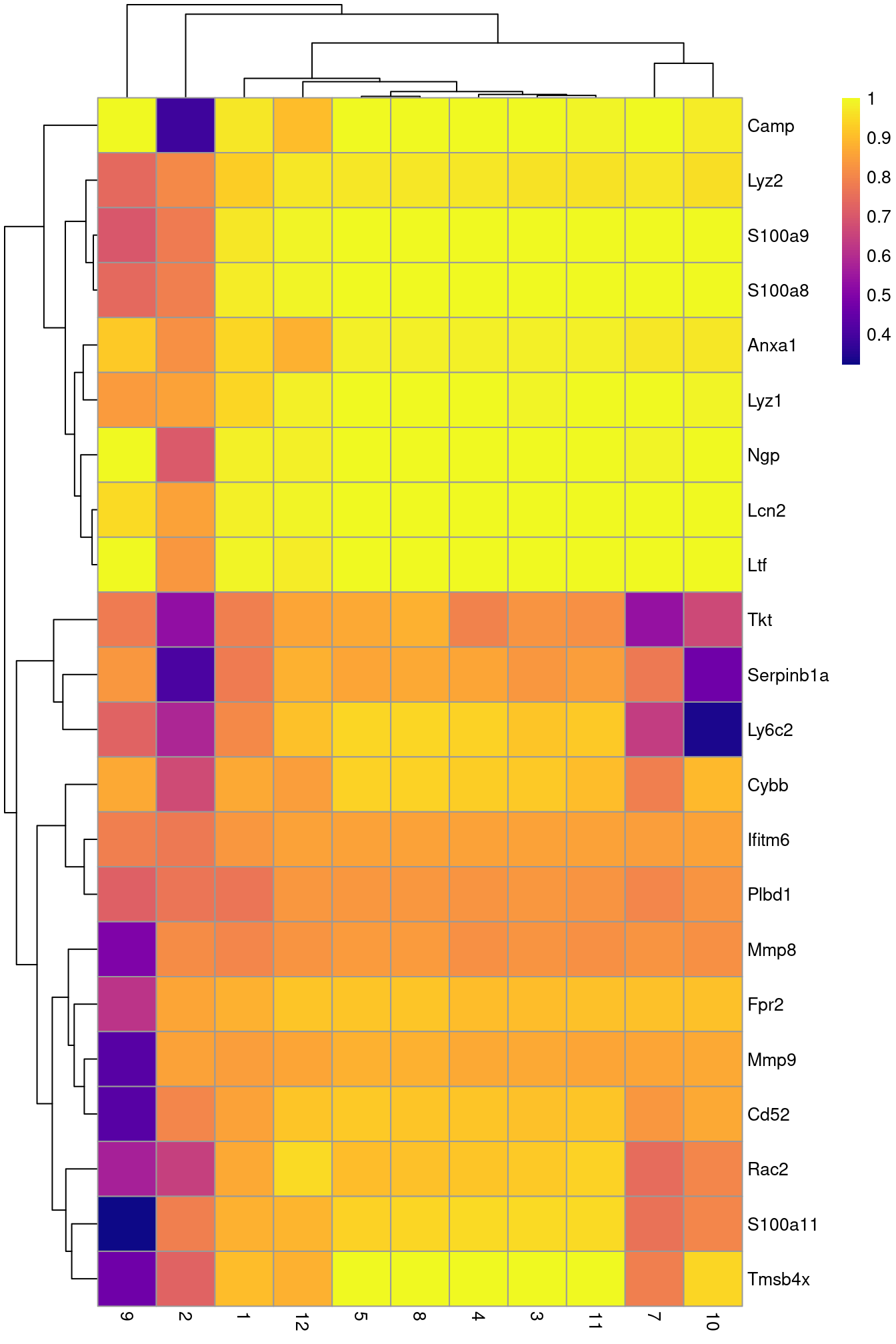 Heatmap of the AUCs for the top marker genes in cluster 6 compared to all other clusters in the Grun HSC dataset.