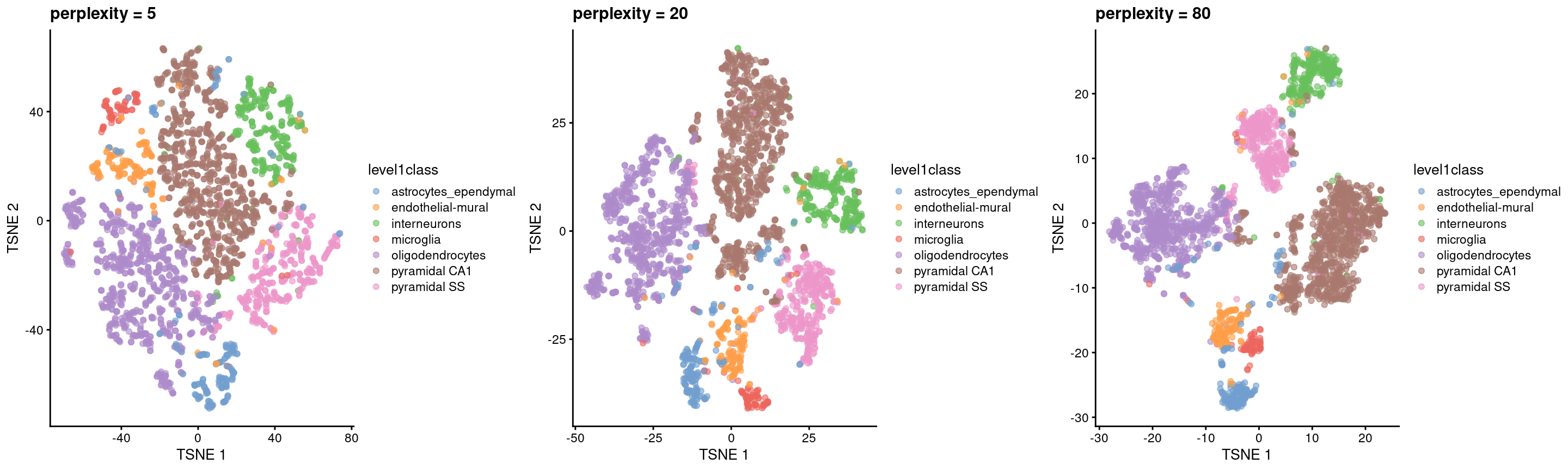 $t$-SNE plots constructed from the top PCs in the Zeisel brain dataset, using a range of perplexity values. Each point represents a cell, coloured according to its annotation.