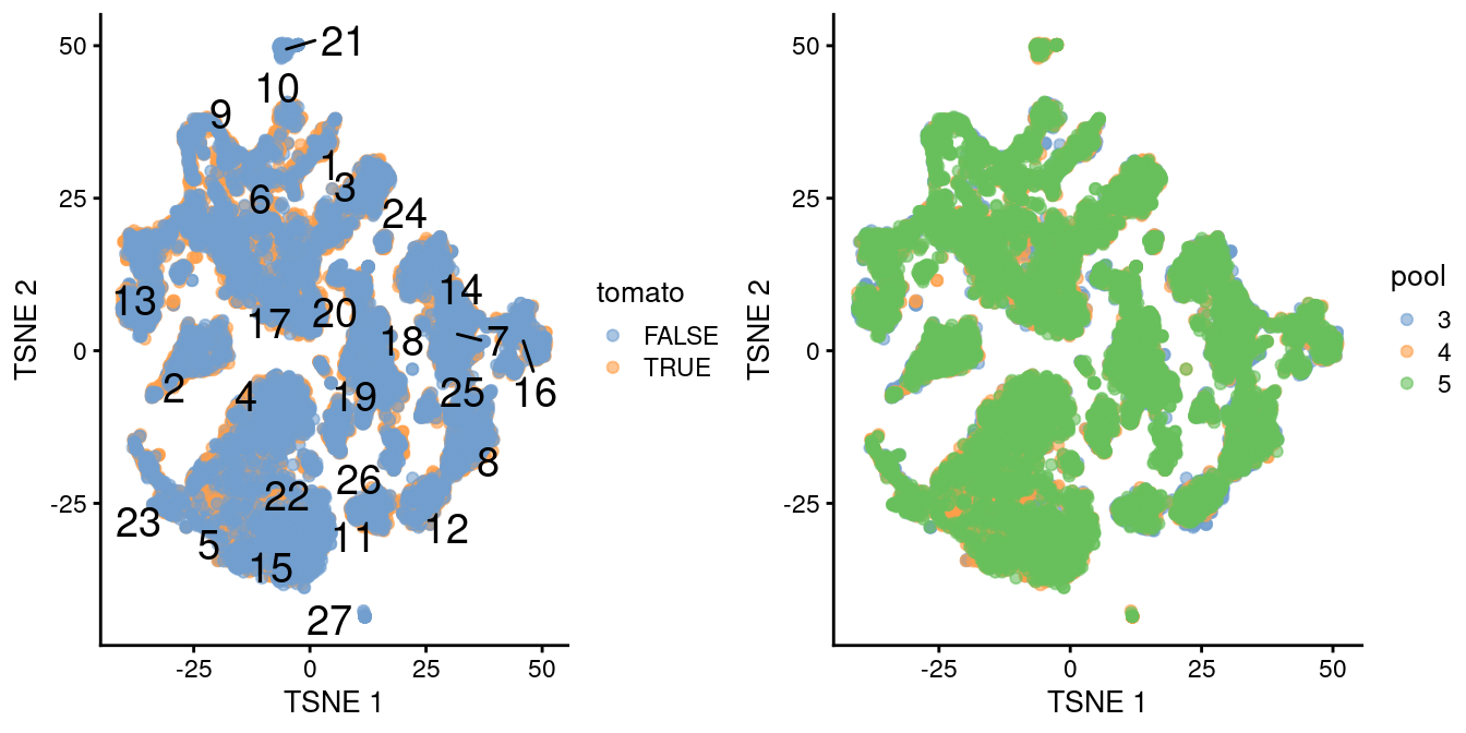 $t$-SNE plot of the WT chimeric dataset, where each point represents a cell and is colored according to td-Tomato expression (left) or batch of origin (right). Cluster numbers are superimposed based on the median coordinate of cells assigned to that cluster.