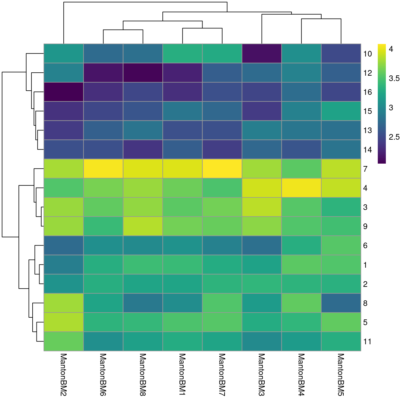 Heatmap of log~10~-number of cells in each cluster (row) from each sample (column).