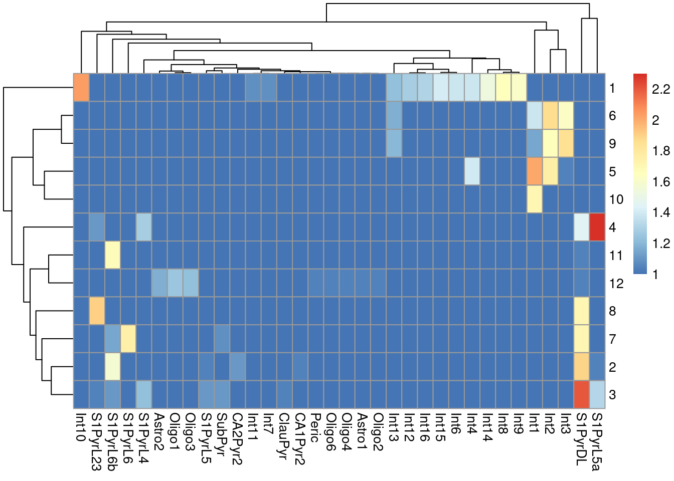 Heatmap of the log-transformed number of cells in each combination of label (column) and cluster (row) in the Tasic dataset.