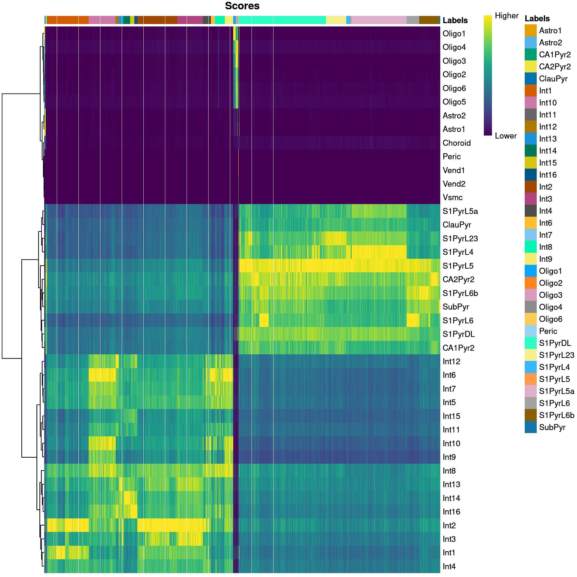 Heatmap of the (normalized) assignment scores for each cell (column) in the Tasic test dataset with respect to each label (row) in the Zeisel reference dataset. The final assignment for each cell is shown in the annotation bar at the top.