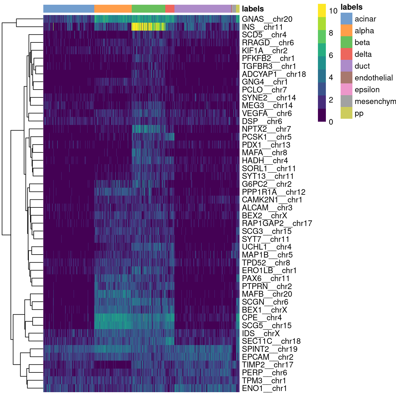 Heatmap of log-expression values in the Grun dataset for all marker genes upregulated in beta cells in the Muraro reference dataset. Assigned labels for each cell are shown at the top of the plot.