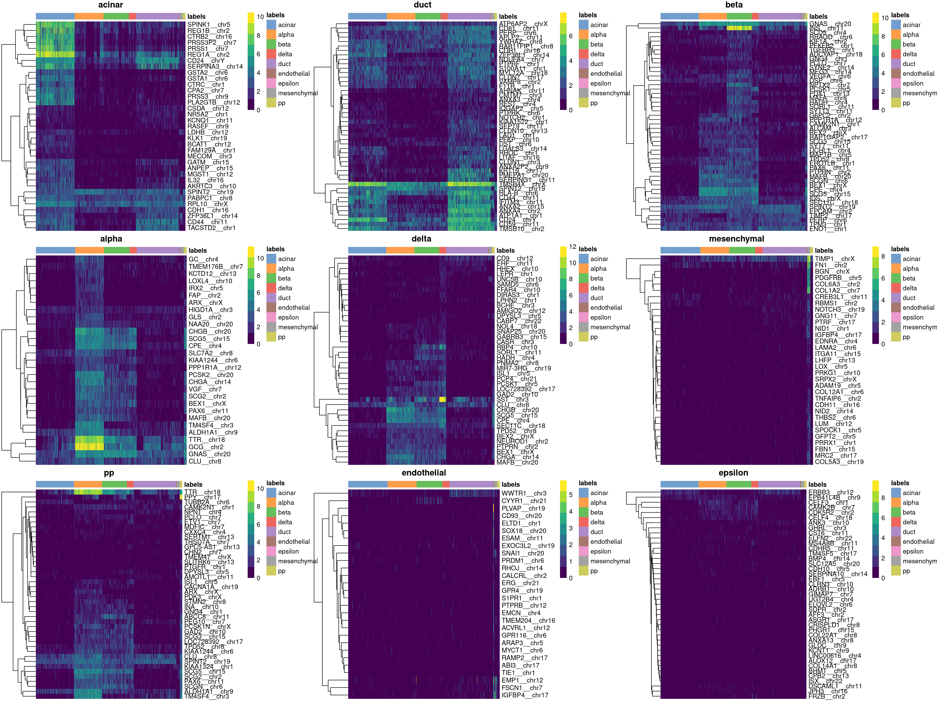 Heatmaps of log-expression values in the Grun dataset for all marker genes upregulated in each label in the Muraro reference dataset. Assigned labels for each cell are shown at the top of each plot.