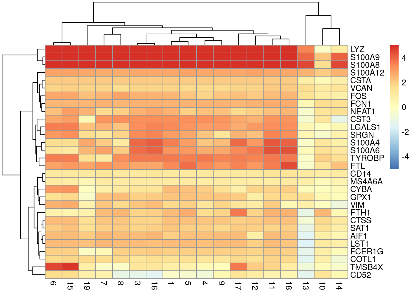 Heatmap of log~2~-fold changes for the top marker genes (rows) of cluster 2 compared to all other clusters (columns).