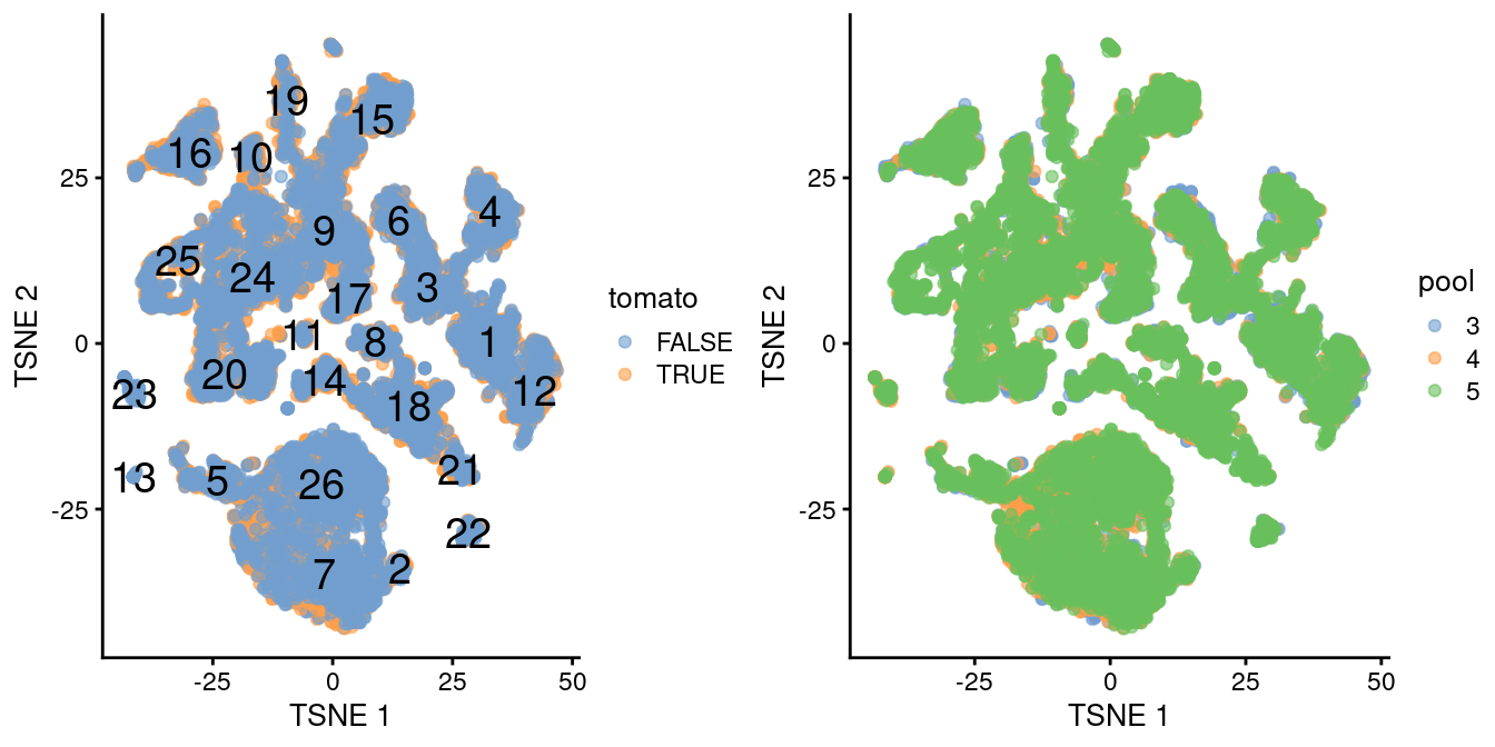 $t$-SNE plot of the WT chimeric dataset, where each point represents a cell and is colored according to td-Tomato expression (left) or batch of origin (right). Cluster numbers are superimposed based on the median coordinate of cells assigned to that cluster.