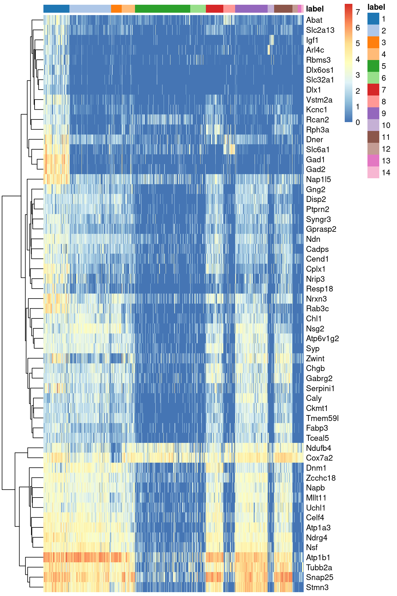 Heatmap of the log-expression of the top markers for cluster 1 compared to each other cluster. Cells are ordered by cluster and the color is scaled to the log-expression of each gene in each cell.