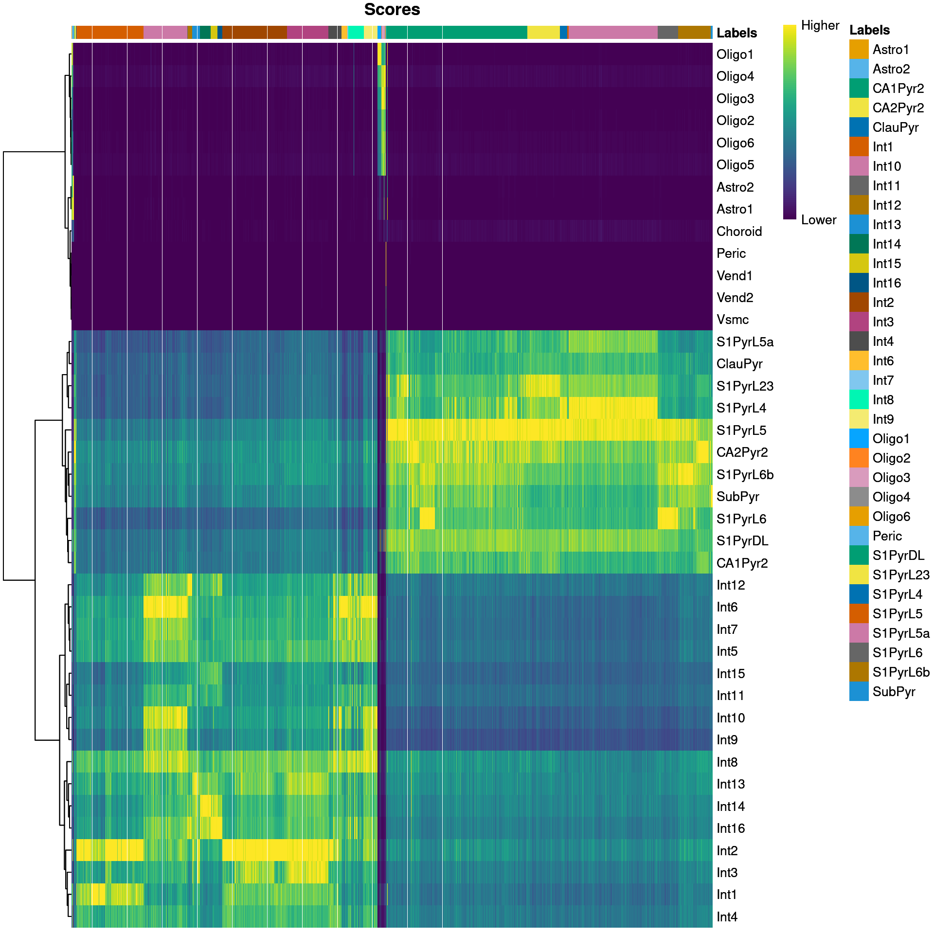 Heatmap of the (normalized) assignment scores for each cell (column) in the Tasic test dataset with respect to each label (row) in the Zeisel reference dataset. The final assignment for each cell is shown in the annotation bar at the top.
