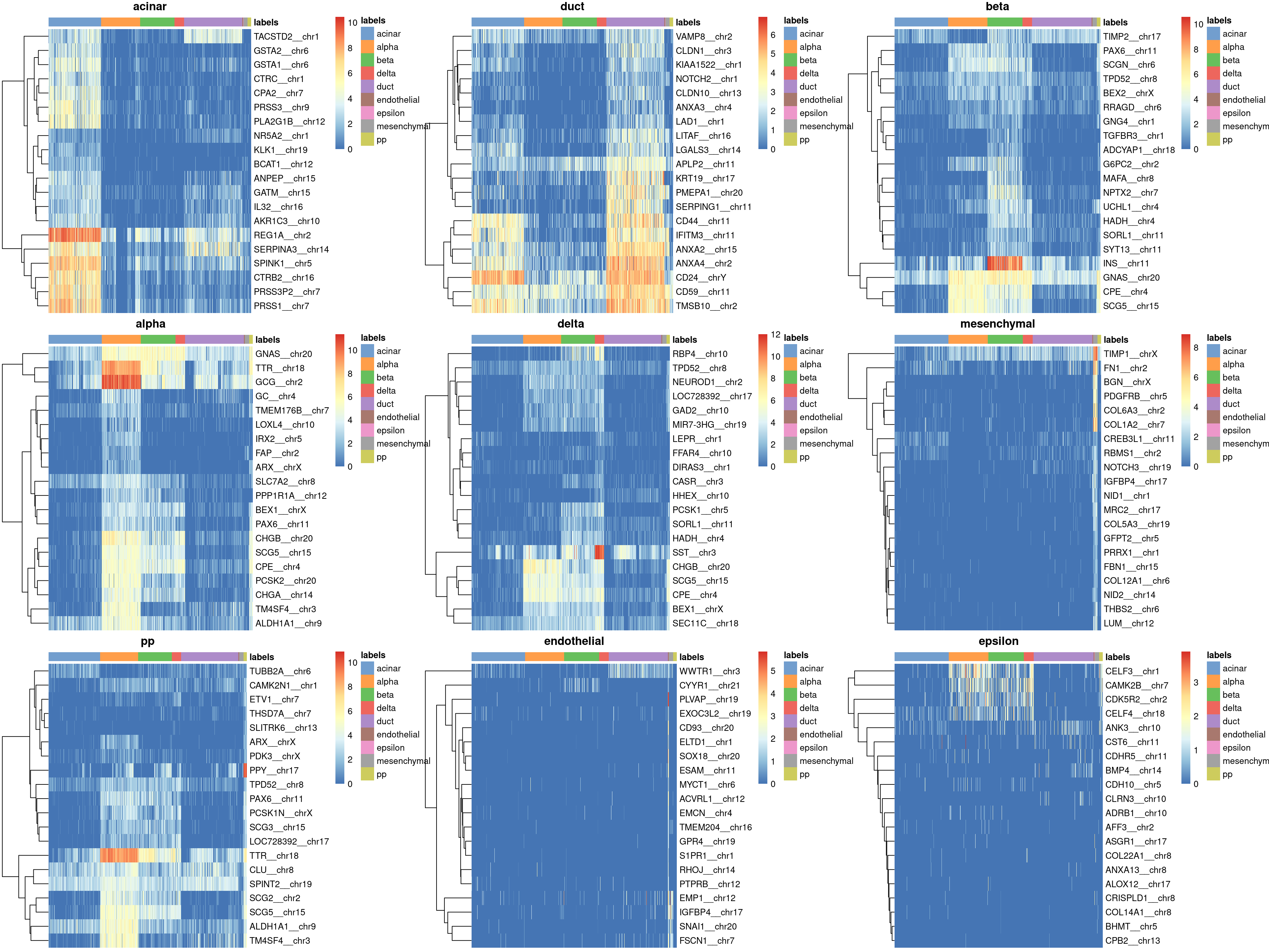 Heatmaps of log-expression values in the Grun dataset for all marker genes upregulated in each label in the Muraro reference dataset. Assigned labels for each cell are shown at the top of each plot.