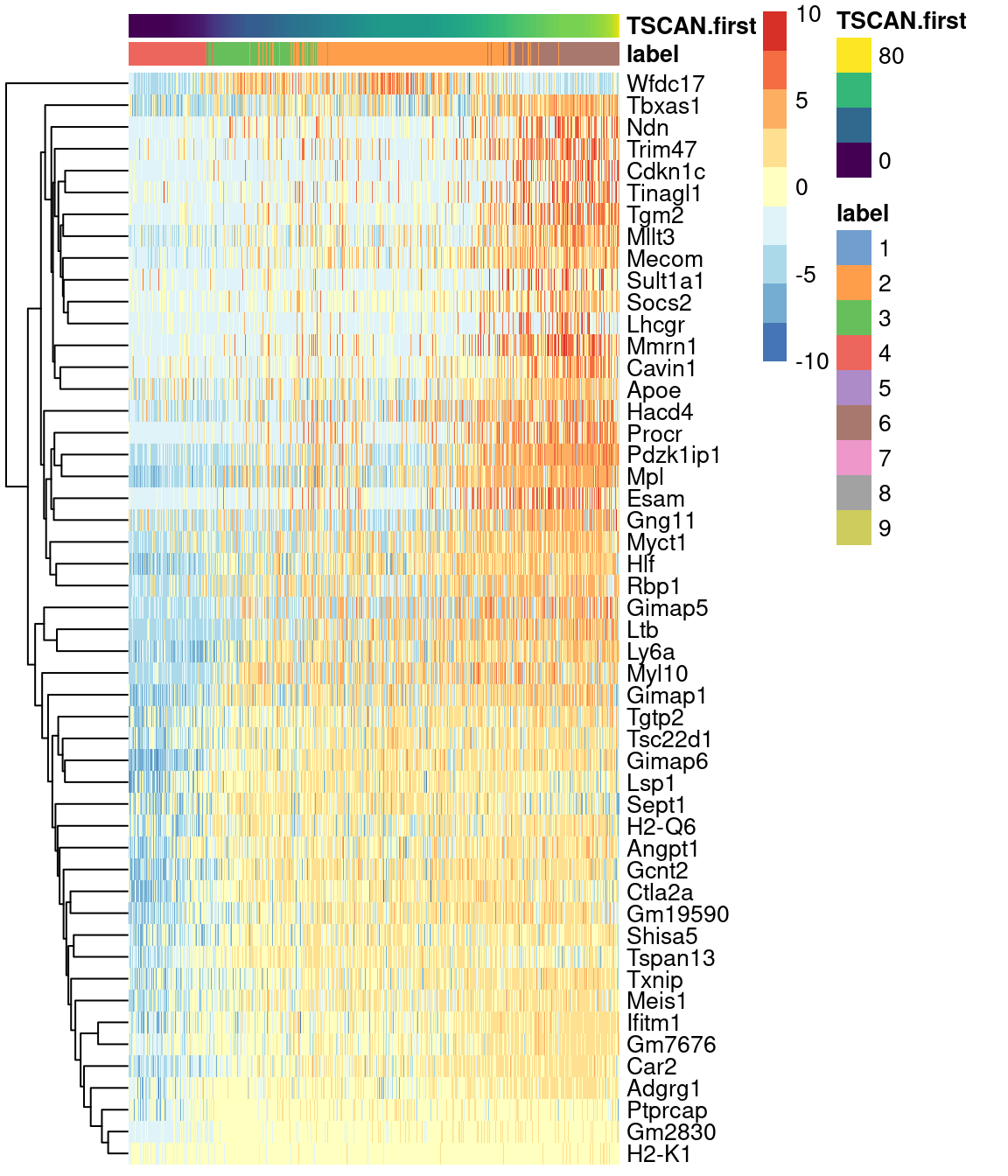 Heatmap of the expression of the top 50 genes that increase in expression with increasing pseudotime along the first path in the MST of the Nestorowa HSC dataset. Each column represents a cell that is mapped to this path and is ordered by its pseudotime value.