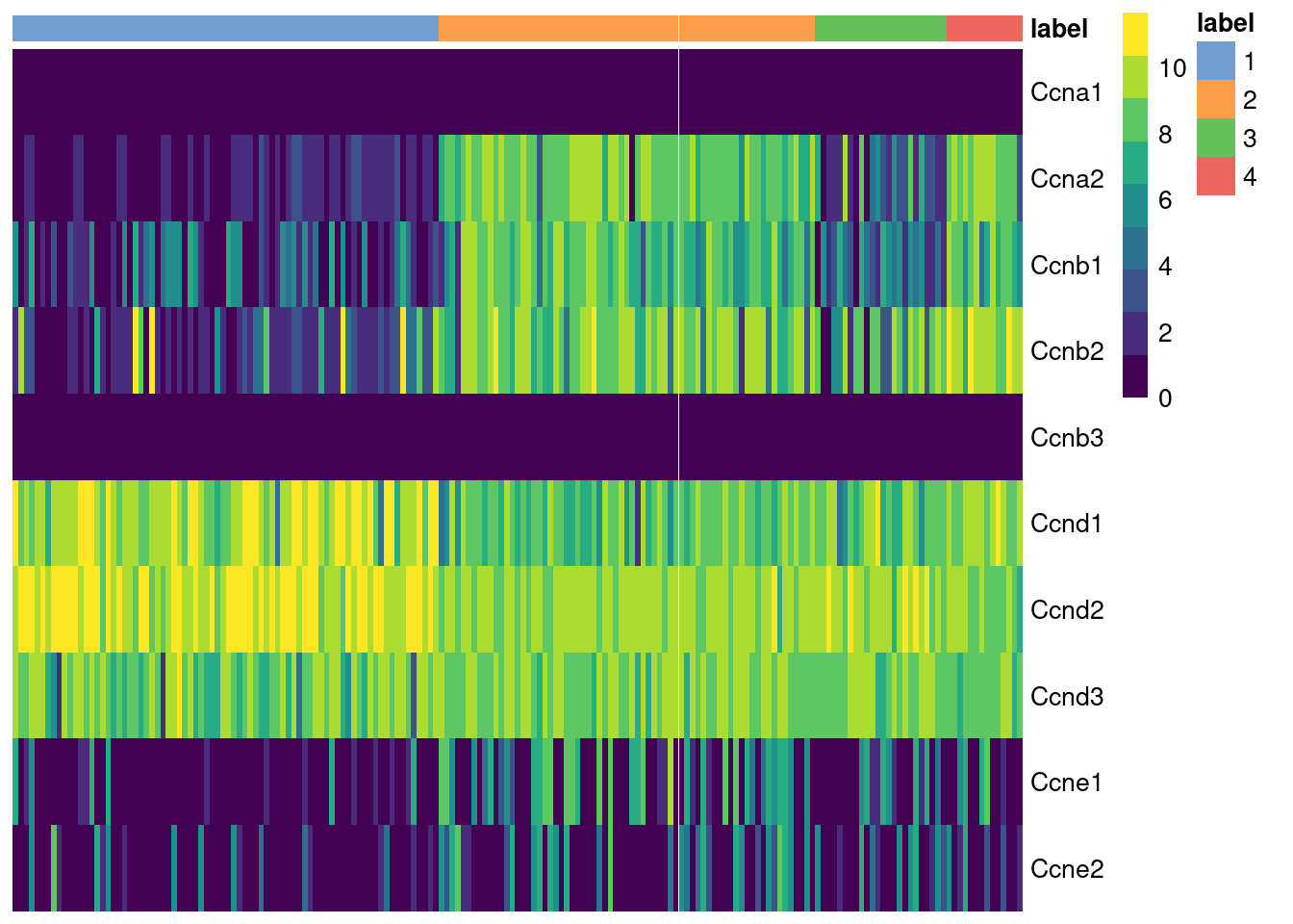 Heatmap of the log-normalized expression values of the cyclin genes in the 416B dataset. Each column represents a cell that is sorted by the cluster of origin.