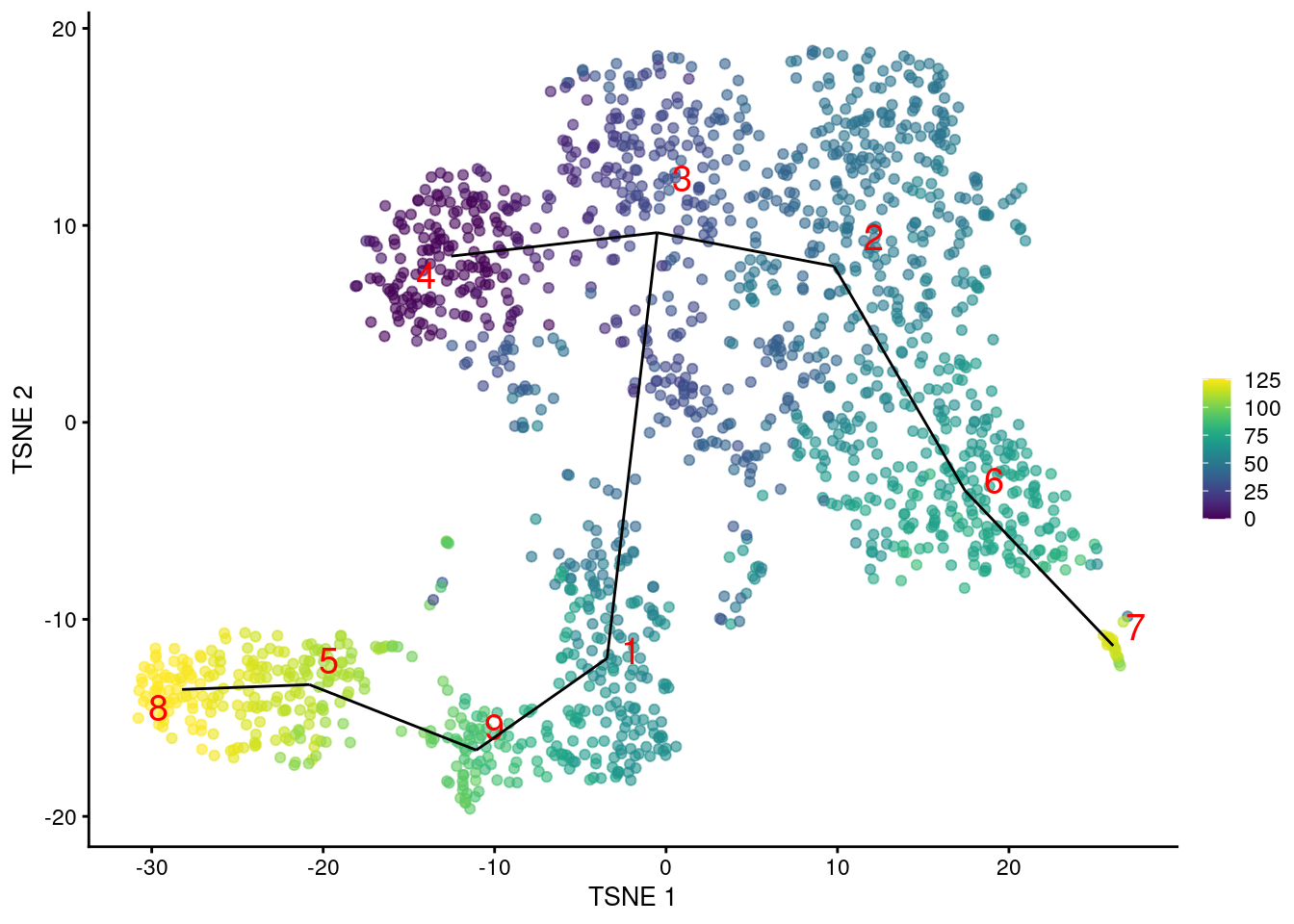 $t$-SNE plot of the Nestorowa HSC dataset, where each point is a cell and is colored according to its pseudotime value. The MST obtained using _TSCAN_ is overlaid on top.