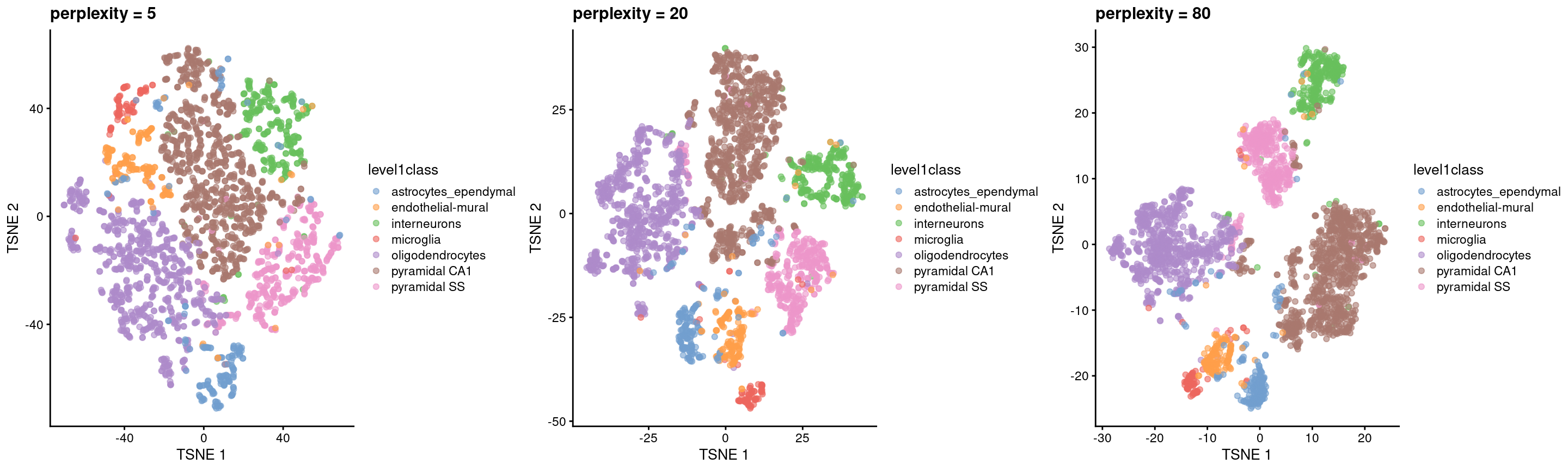 $t$-SNE plots constructed from the top PCs in the Zeisel brain dataset, using a range of perplexity values. Each point represents a cell, coloured according to its annotation.