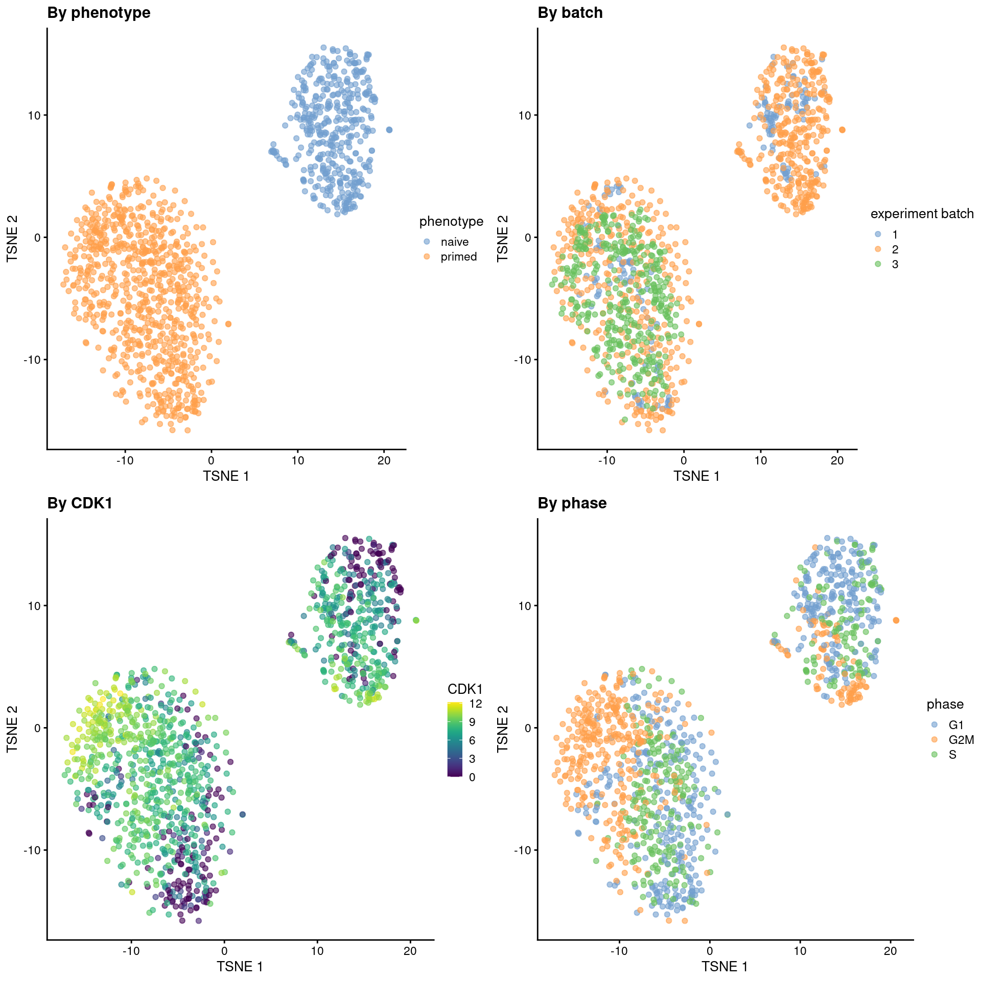 Obligatory $t$-SNE plots of the Messmer hESC dataset, where each point is a cell and is colored by various attributes.