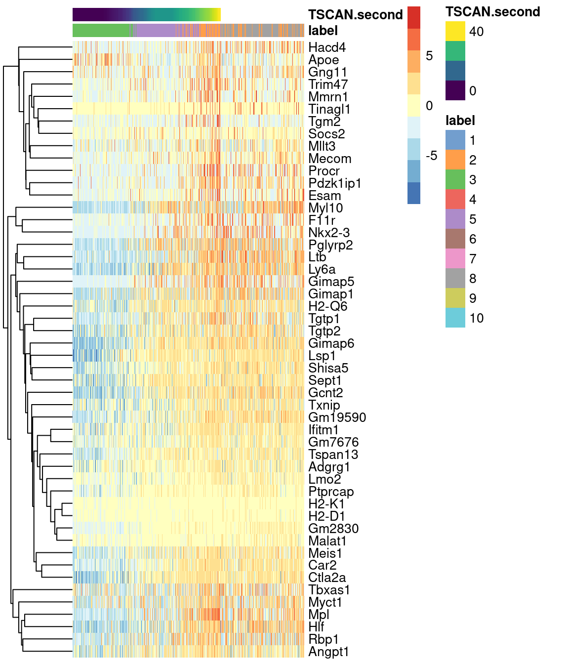 Heatmap of the expression of the top 50 genes that increase in expression with increasing pseudotime along the second path in the MST of the Nestorowa HSC dataset. Each column represents a cell that is mapped to this path and is ordered by its pseudotime value.
