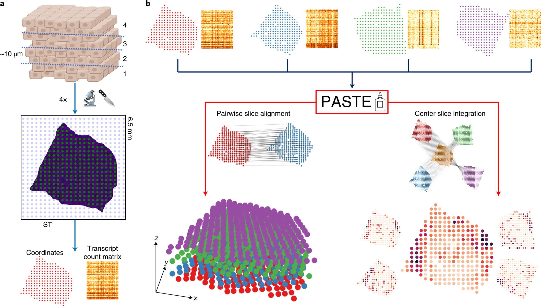36 Spatial registration – Orchestrating Spatial Transcriptomics ...