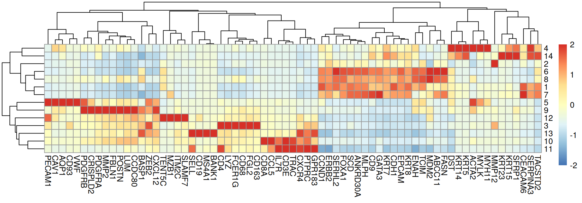 28 Clustering – Orchestrating Spatial Transcriptomics Analysis with ...