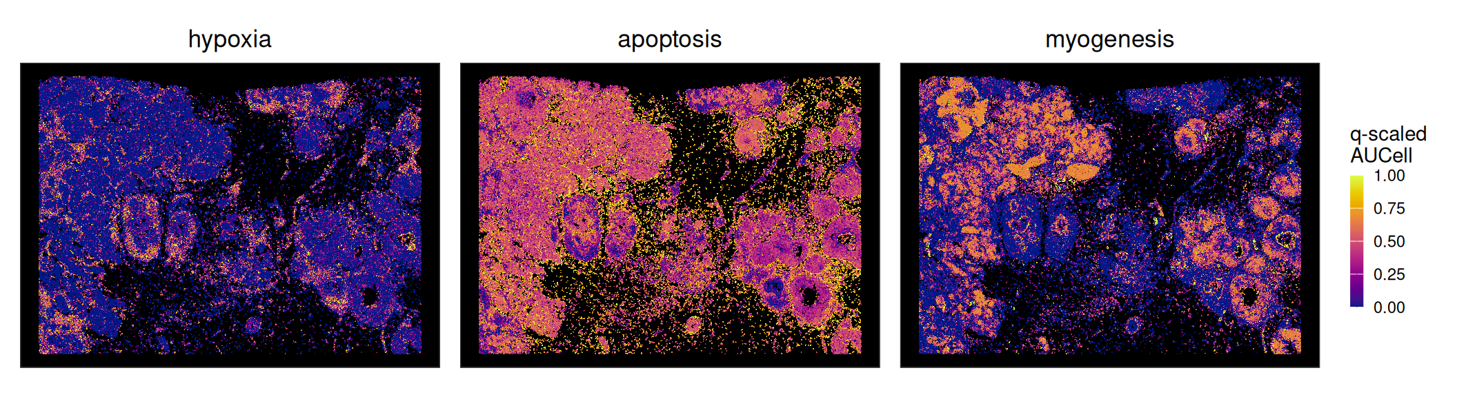 30 Feature-set signatures – Orchestrating Spatial Transcriptomics ...