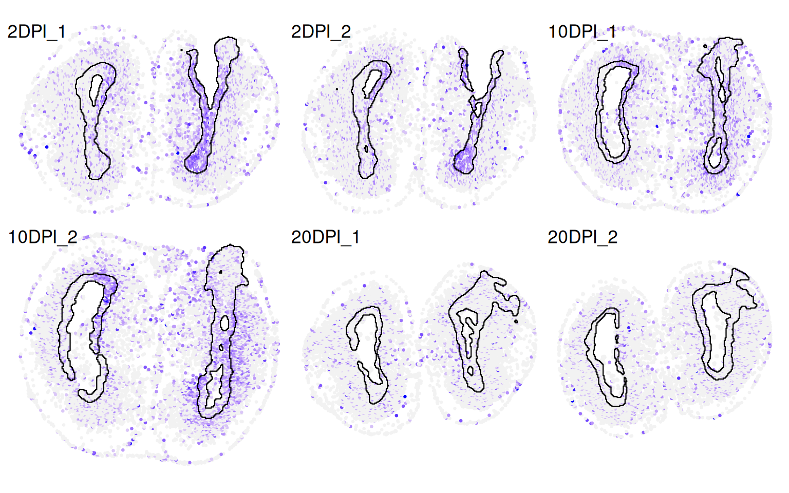 Pattern Difficile 33 Differential spatial patterns – Orchestrating Spatial ...