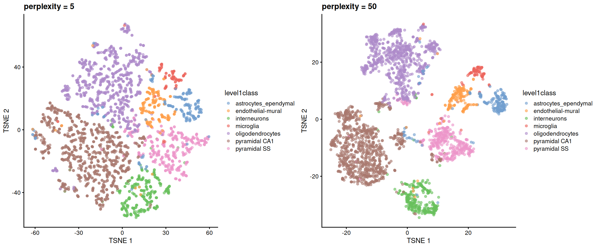 $t$-SNE plots constructed from the top PCs in the Zeisel brain dataset, using a range of perplexity values. Each point represents a cell, coloured according to its annotation.