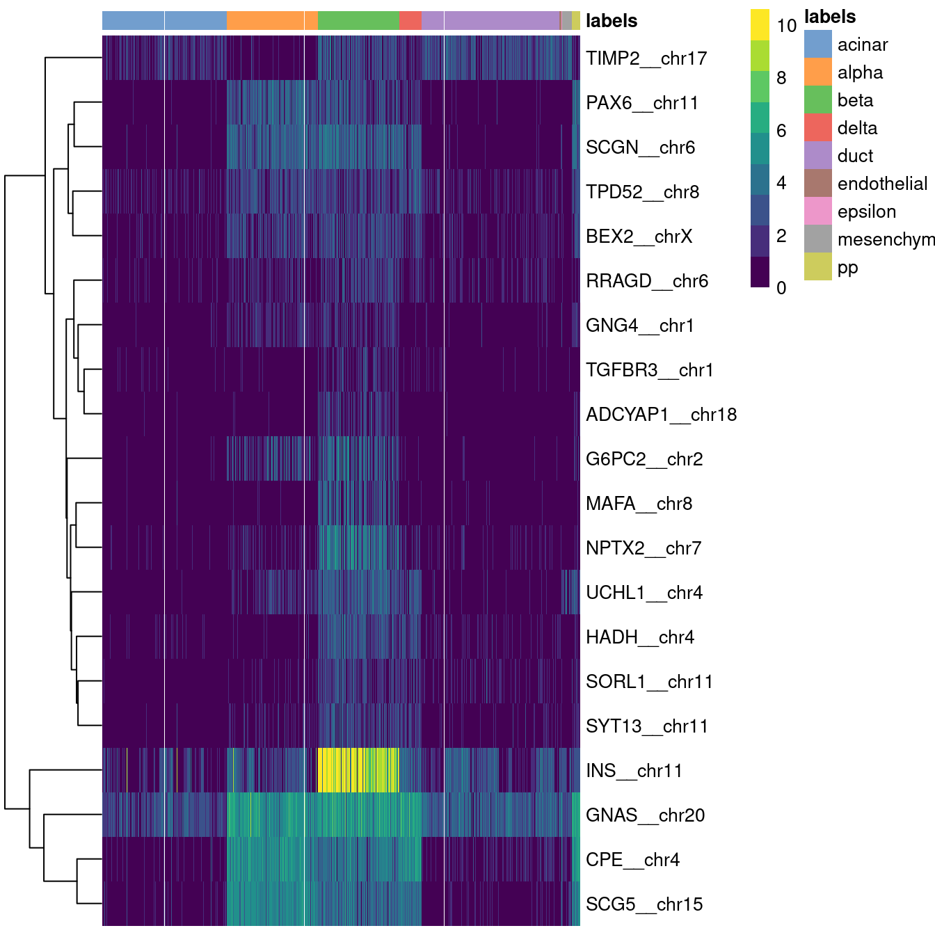 Heatmap of log-expression values in the Grun dataset for all marker genes upregulated in beta cells in the Muraro reference dataset, pruned to those that are also upregulated in the assigned cells in the Grun dataset. Assigned labels for each cell are shown at the top of the plot.