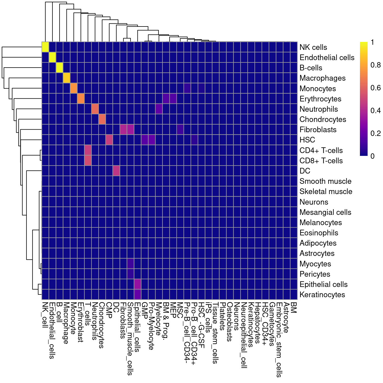 Heatmap of mutual assignment probabilities between the Blueprint/ENCODE reference dataset (labels in rows) and the Human primary cell atlas reference (labels in columns).
