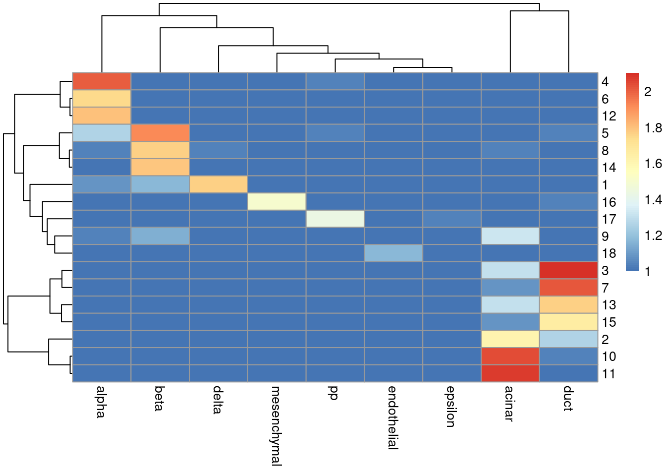 Heatmap of the log-transformed number of cells in each combination of label (column) and cluster (row) in the Grun dataset.