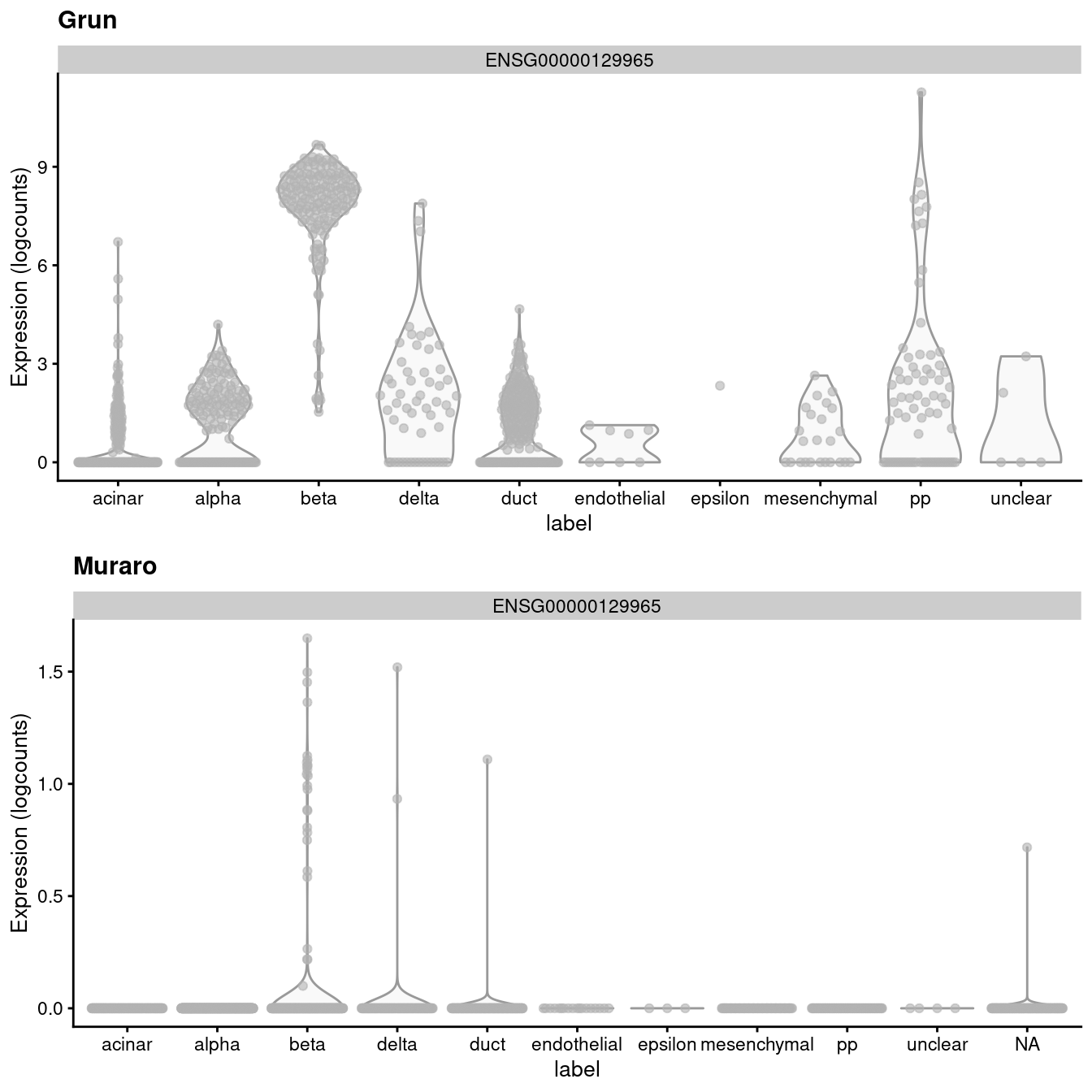 Distribution of uncorrected expression values for _INS-IGF2_ across the cell types in the Grun and Muraro pancreas datasets.