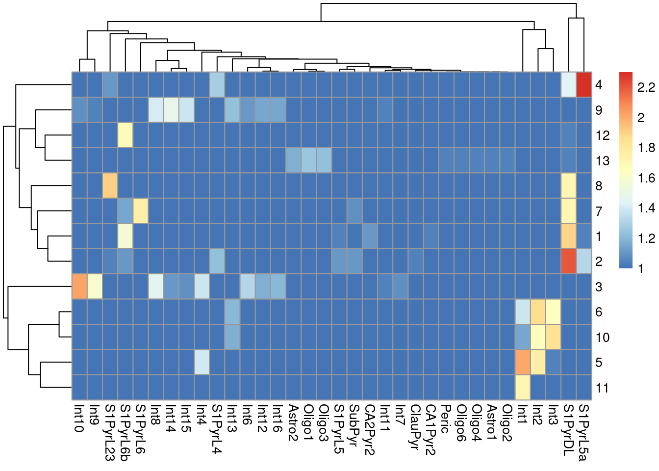 Heatmap of the log-transformed number of cells in each combination of label (column) and cluster (row) in the Tasic dataset.