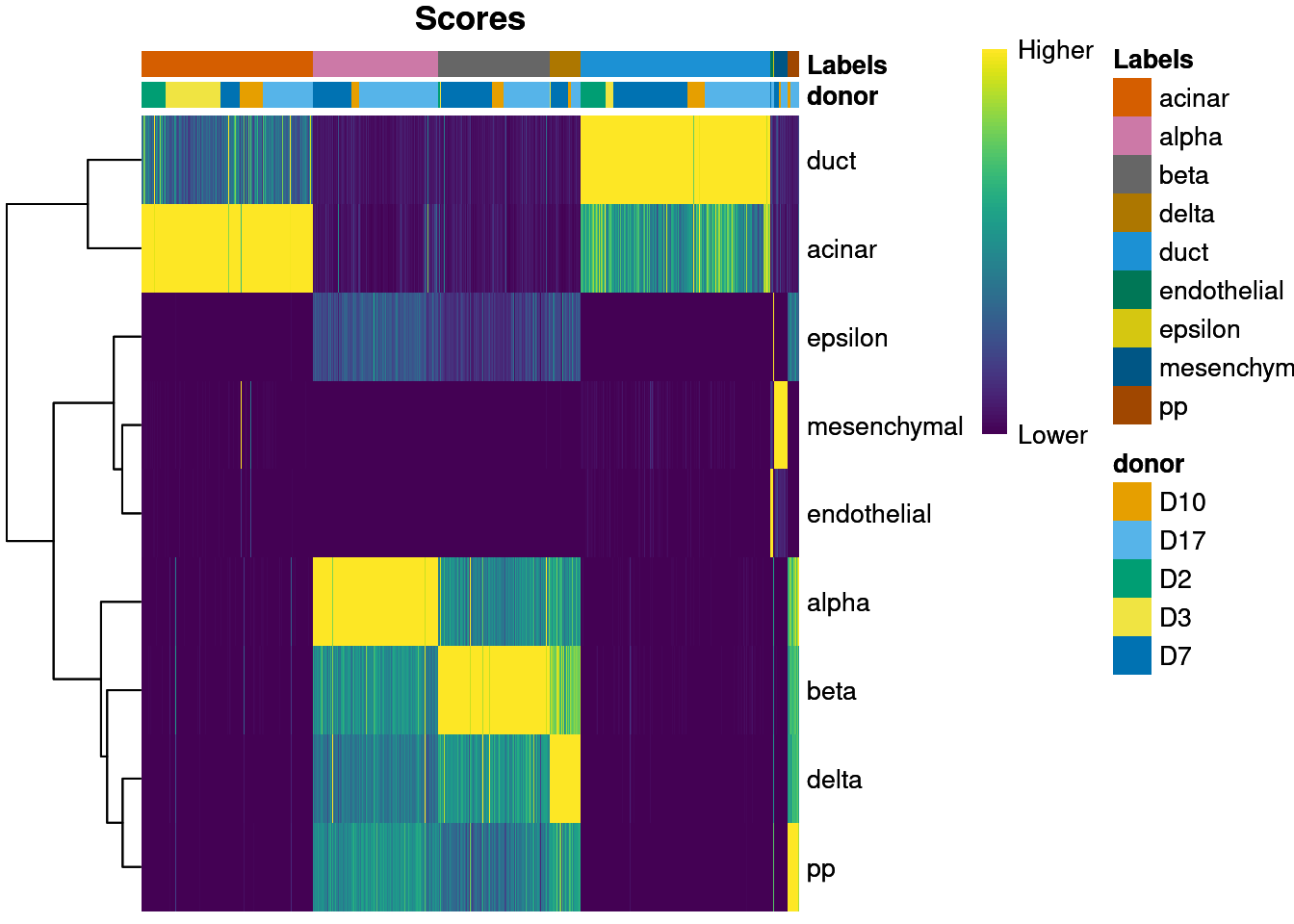Heatmap of normalized scores for the Grun dataset, including the donor of origin for each cell.