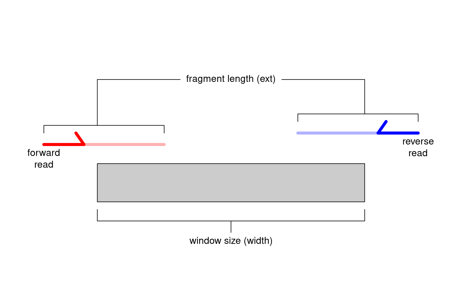 Schematic of the read extension process for single-end data. Reads are extended to the average fragment length (`ext`) and the number of overlapping extended reads is counted for each window of size `width`.