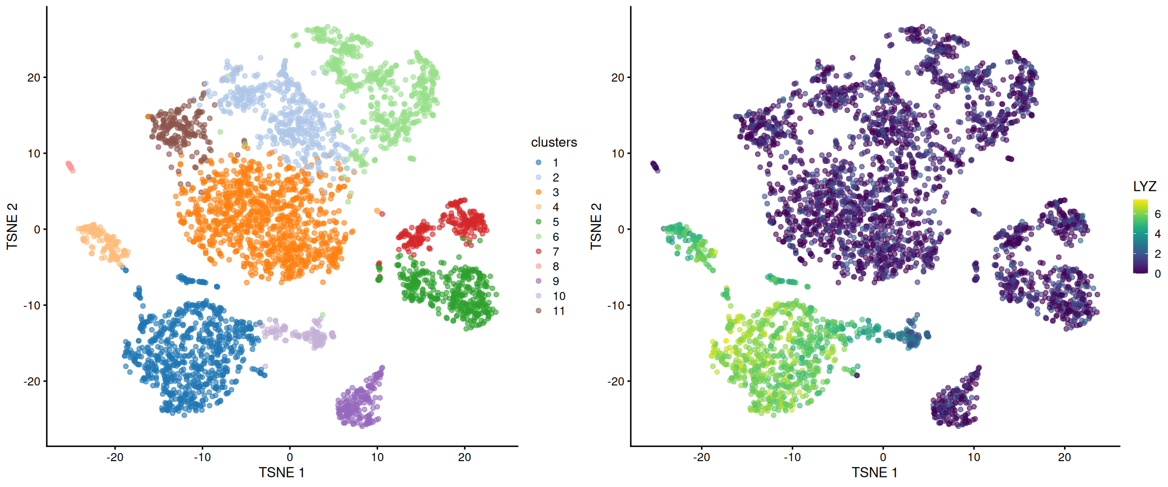 $t$-SNE plot of the cells in the PBMC dataset, colored by the assigned cluster (top) or the log-expression of the top marker gene in cluster 1 (bottom).